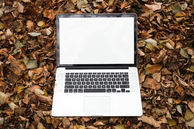 macOS